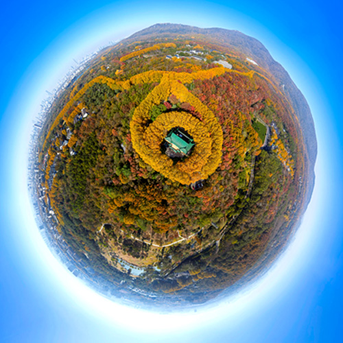 秋日里的美龄宫